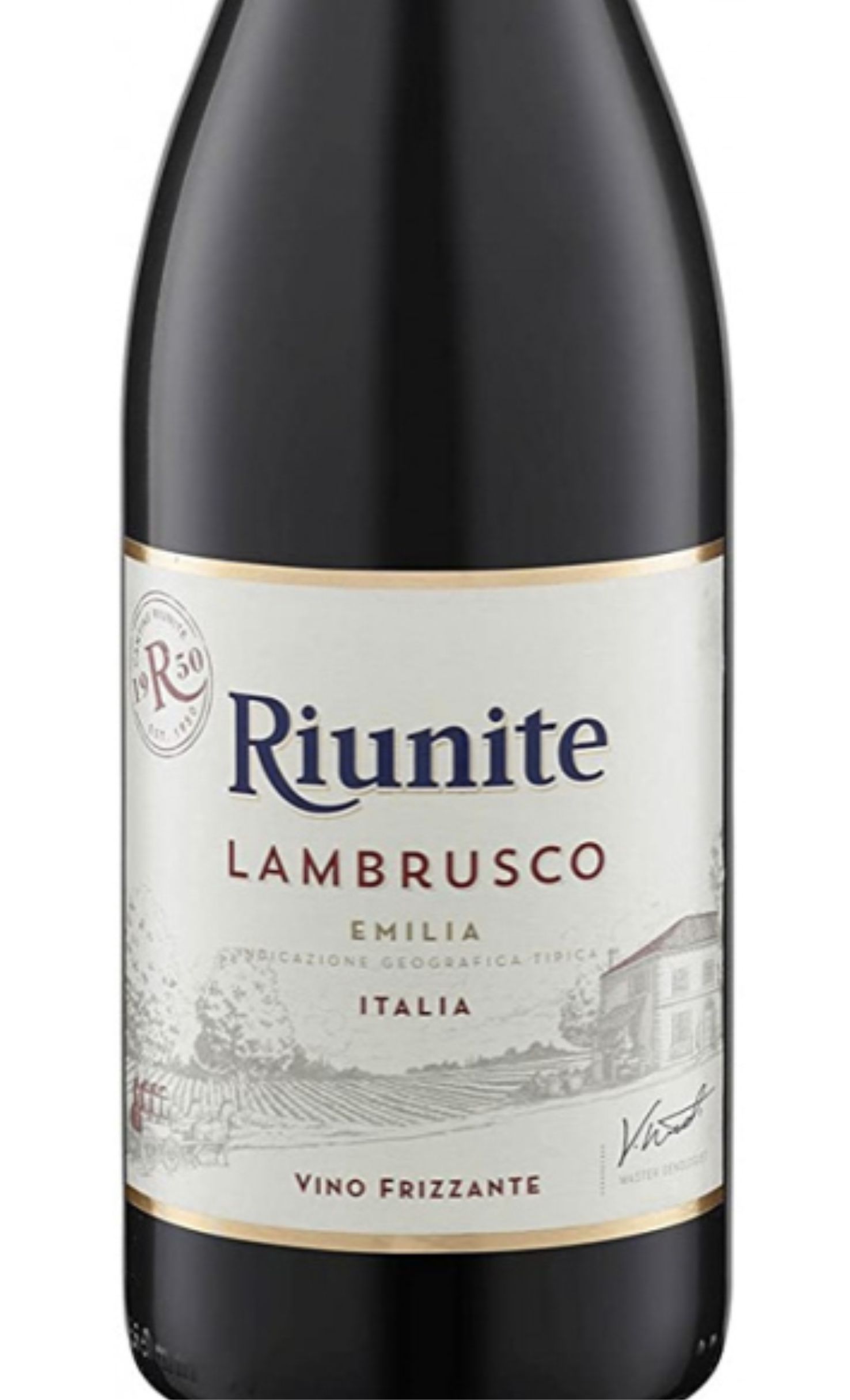 Этикетка Игристое вино Риуните Ламбруско, красное полусладкое, 0.75 л